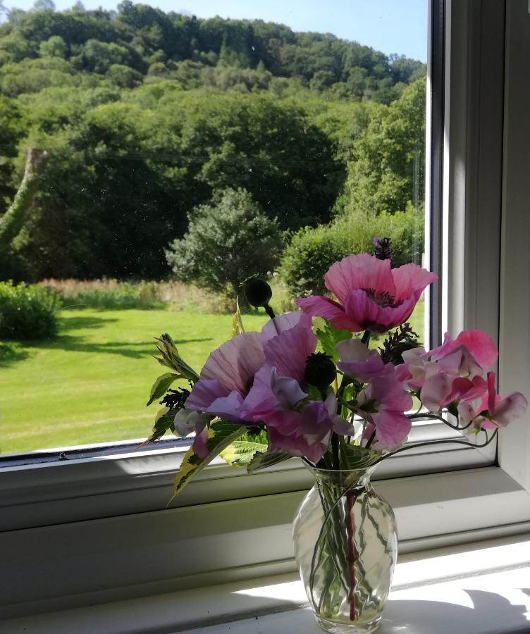 Wray Valley Moretonhampstead Exteriér fotografie